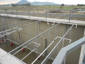 Purificación y Calidad de Agua